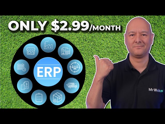 Why Pay Thousands for an ERP Solution When You Can Build Your Own?