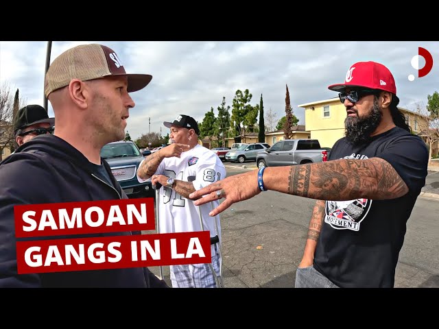 Samoan Gang Life in LA (Compton Projects) 🇺🇸