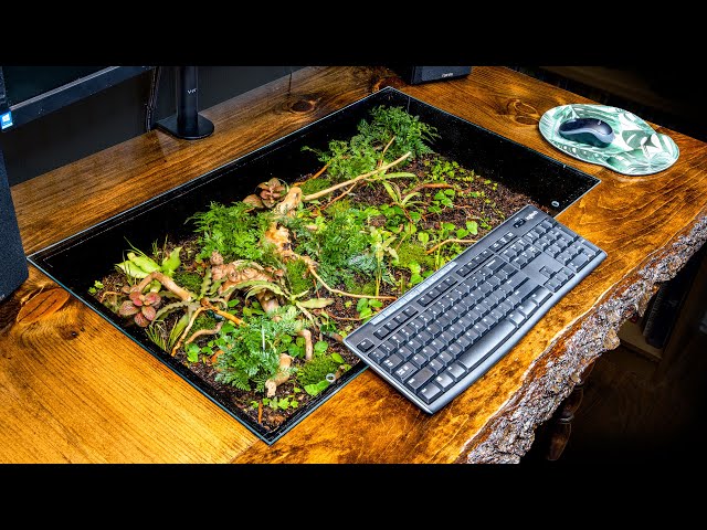 DIY Terrarium Computer Desk with a Live Edge from Reclaimed Materials