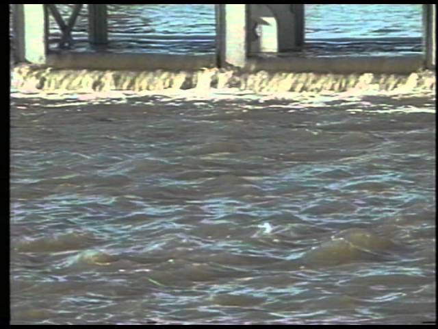 Flashback to 1993: The Five-Hundred Year Flood
