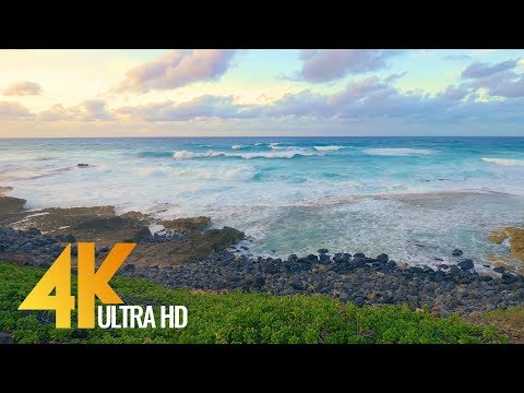 Best 4k Nature/Ocean Videos