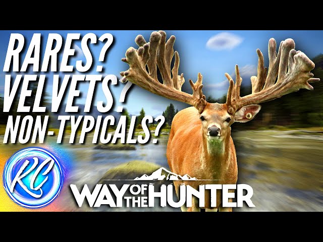 "Rare VELVET Non Typical 5 Star"?! Discussing *UNIQUE Animals* in Way of the Hunter