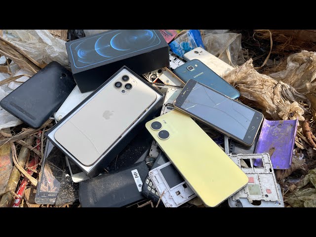 Phones like this are thrown in the trash || Abandoned phone restoration (vivo y16)