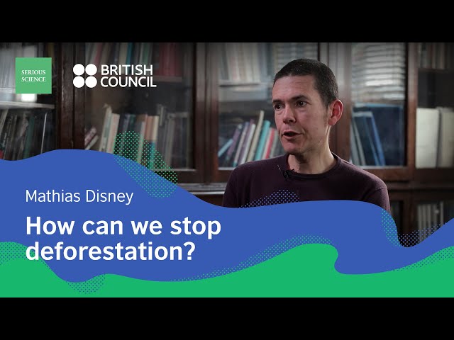 Forest Degradation — Mathias Disney / Serious Science