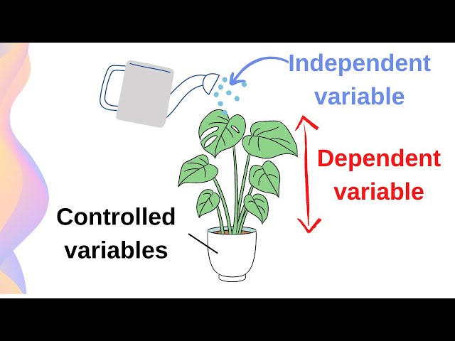 Independent, Dependent and Controlled Variables