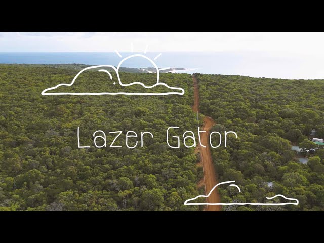 The View From Here #44: Lazer Gator