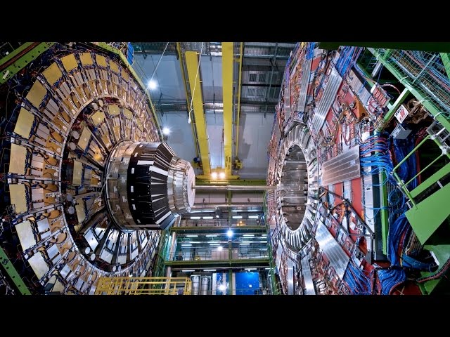 We have a discovery: the future of the Higgs boson
