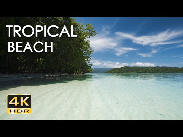 4K HDR Tropical Beach - Gentle Ocean Wave Sounds - Peaceful Wild Island - Relaxing Nature Video