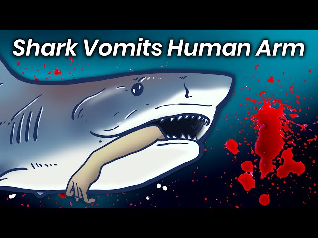 Shark Vomits Arm in Public Aquarium, Disturbing Clues Start Manhunt