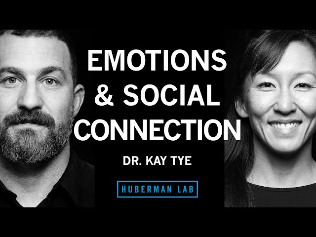 Dr. Kay Tye: The Biology of Social Interactions and Emotions