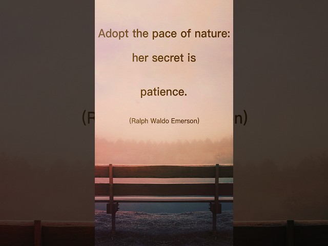 Adopt the pace of nature