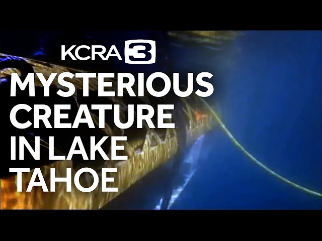 Mysterious creature spotted in depths of Lake Tahoe