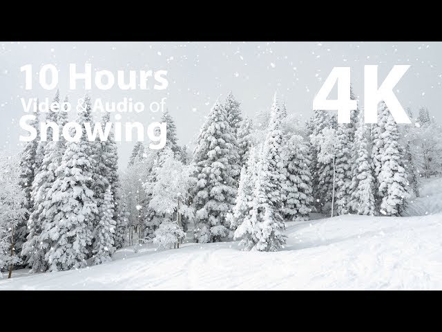 4K HDR 10 hours - Snowing on trees - relaxing, gentle, calming