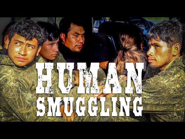 Multiple human smuggling attempts stopped