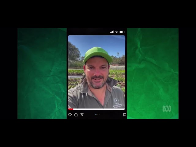 Talking about feeding Aussies in need on Gardening Australia