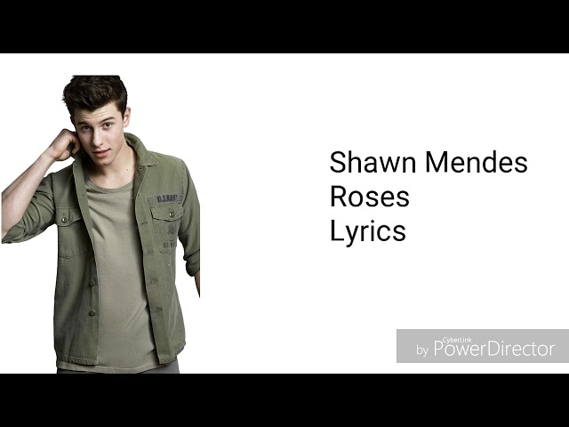 Shawn Mendes - Roses (Lyrics)