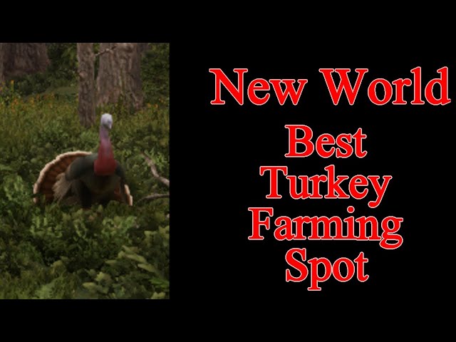 Best New World Turkey Farming Location - EASY turkey quest spot