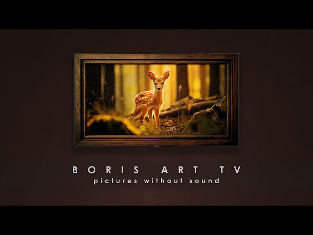 4K TV screensaver without sound - Baby roe deer