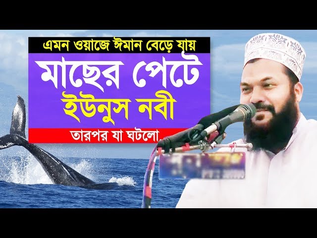 মাছের পেটে ইউনুস নবী তারপর যা ঘটলো | Story of Yunus Prophet and Whale | Kamrul Islam Sayed Ansari