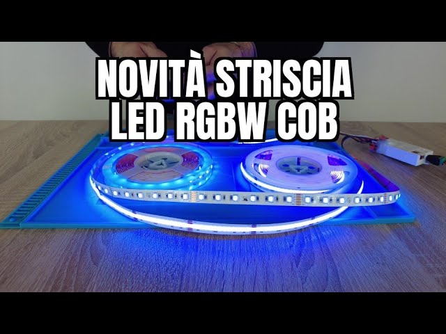NUOVA Striscia LED RGB+W in COB (linea continua di luce NO PUNTINI)