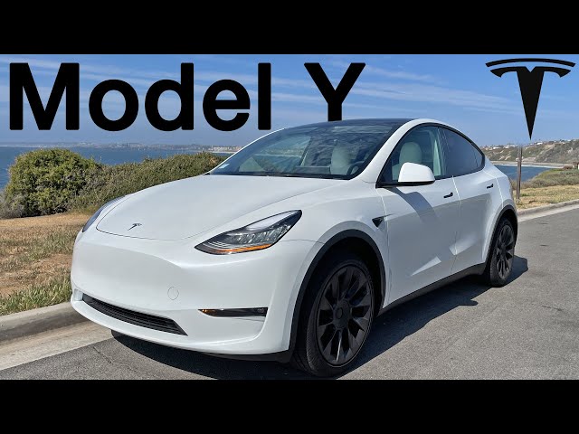 The 2021 Tesla Model Y Is The Tesla YOU Want!!