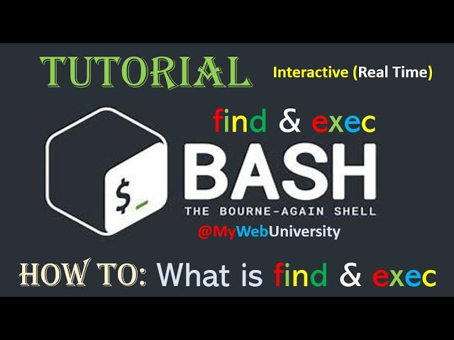 Linux Tutorial (How To: What is find & exec)