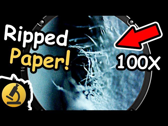 Ripped Paper Under the Microscope
