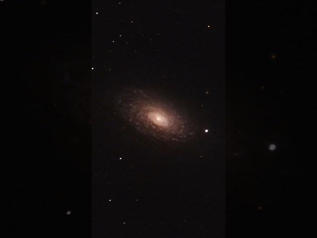 The Sunflower Galaxy 🌻🔭 captured with my 11” telescope #telescope #astronomy #space