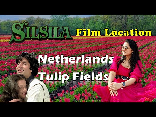 Silsila Film Location Tulip Fields Netherlands #netherlands #tulip #amsterdam #silsila #bollywood