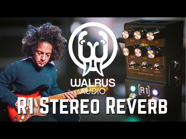 Walrus Audio R1 | Mako Series Stereo Reverb | STEREO RIG TONES!