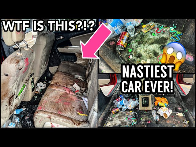 Deep Cleaning The Worlds NASTIEST Dodge Ever! | Insanely Satisfying Car Detailing Transformation!