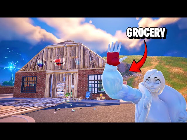 I Opened My Own Grocery Store!