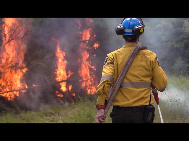 Occupational Video - Wildland Firefighter