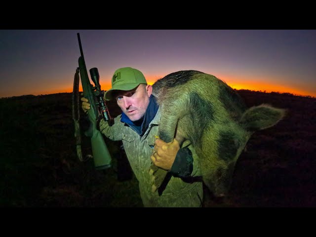 Building a huge Wild Boar Trap! {Catch Clean Cook} Feral Hogs are Taking OVER the Ranch!