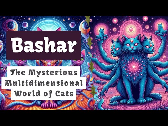 Bashar | The Mysterious Multidimensional World of Cats