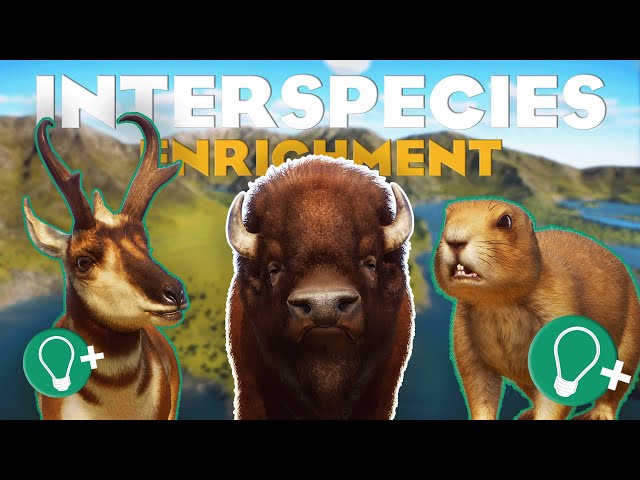🦛 The ULTIMATE Guide to Interspecies Enrichment | Planet Zoo