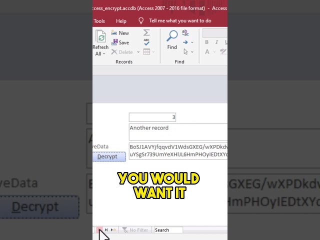 Encrypted Data Field in MS Access