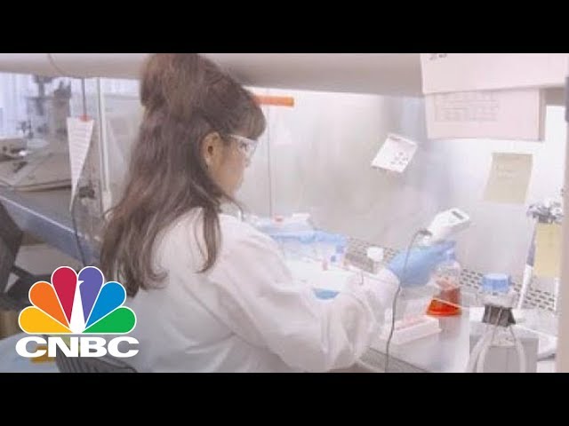 Belgian Scientists: Relationship Between Sugar And Cancer Is Now Clearer | CNBC