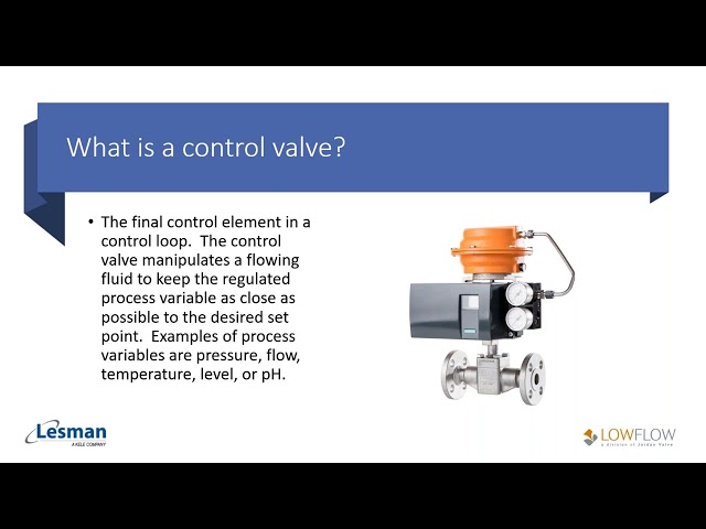 Control Valve or Metering Pump, Which Do I Choose? A Lesman Webinar.