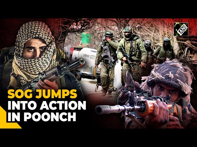 Special Operations Group in action in J&K’s Poonch, search ops launched after suspicious movement