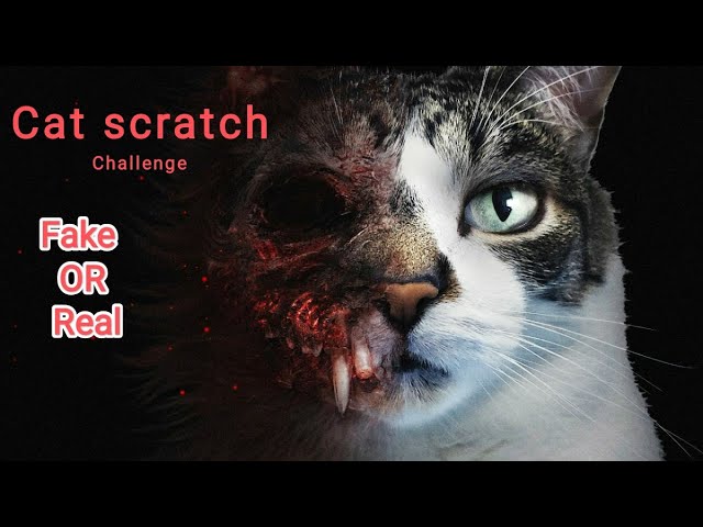Cat scratch challenge||horror game|| at 3am scary game 😱