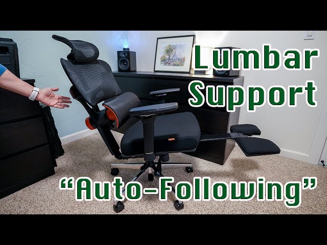 Newtral NT002 Ergonomic Home Office Chair | Lumber Support that Chases You!!