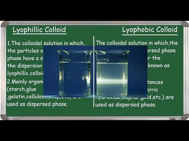Lyophilic and Lyophobic colloids |Differences|English|