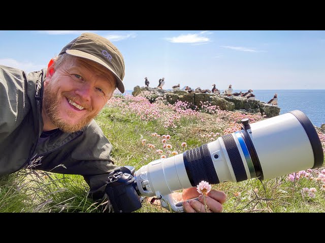 Puffins on Lunga | Bird Photography | Gear Selection & Tips