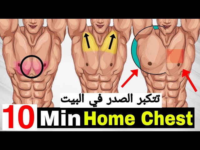10 min Home CHEST Workout (DUMBBELLS ONLY / NO BENCH!!)
