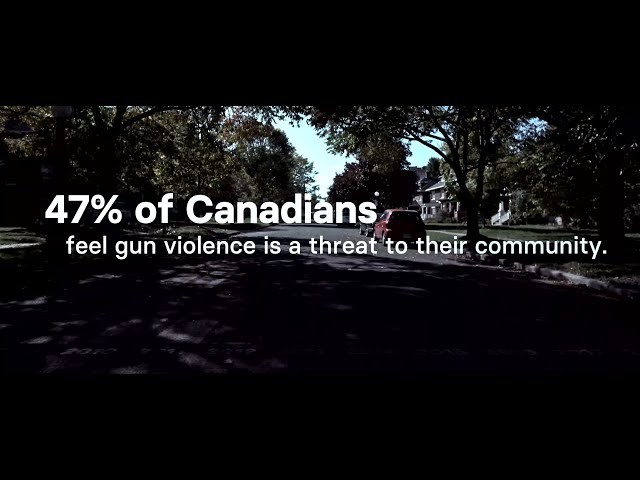 Taking Action on Gun Violence - Firearms (6sC)