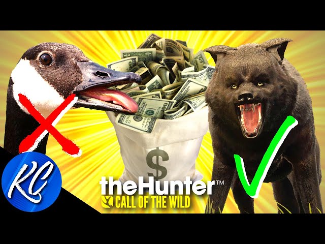 NO GEESE? NO PROBLEM! How to Make FAST MONEY Hunting Gray Wolves! | Call of the Wild Money Guide