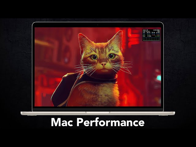 Stray Mac Performance Review