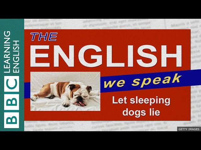 Let sleeping dogs lie: The English We Speak