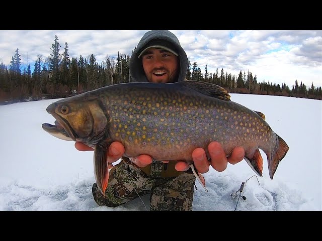 EPIC Day Ice Fishing for 3 Pound BROOK TROUT!! (CATCH & COOK!!)